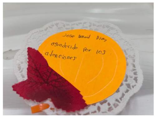 Visual Tour of Julia Barriga M.D. P.A. Pediatric Clinic in Tampa FL