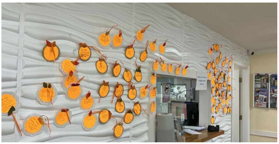 Visual Tour of Julia Barriga M.D. P.A. Pediatric Clinic in Tampa FL